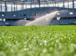 曼联,曼城逆转胜,费争议进球,Pg电子试玩模拟器,PG,game,Pg电子试玩模拟器网址,Pg电子app,Pg电子官网,Pg电子集团